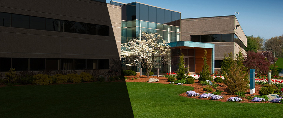 Vineyard Haven Landscapers