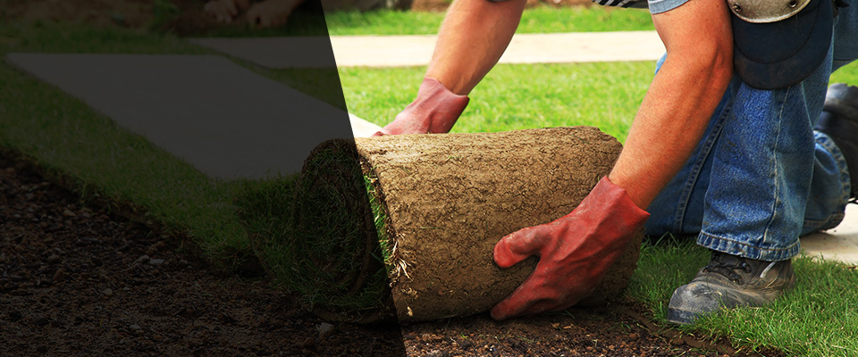 Vineyard Haven Landscapers